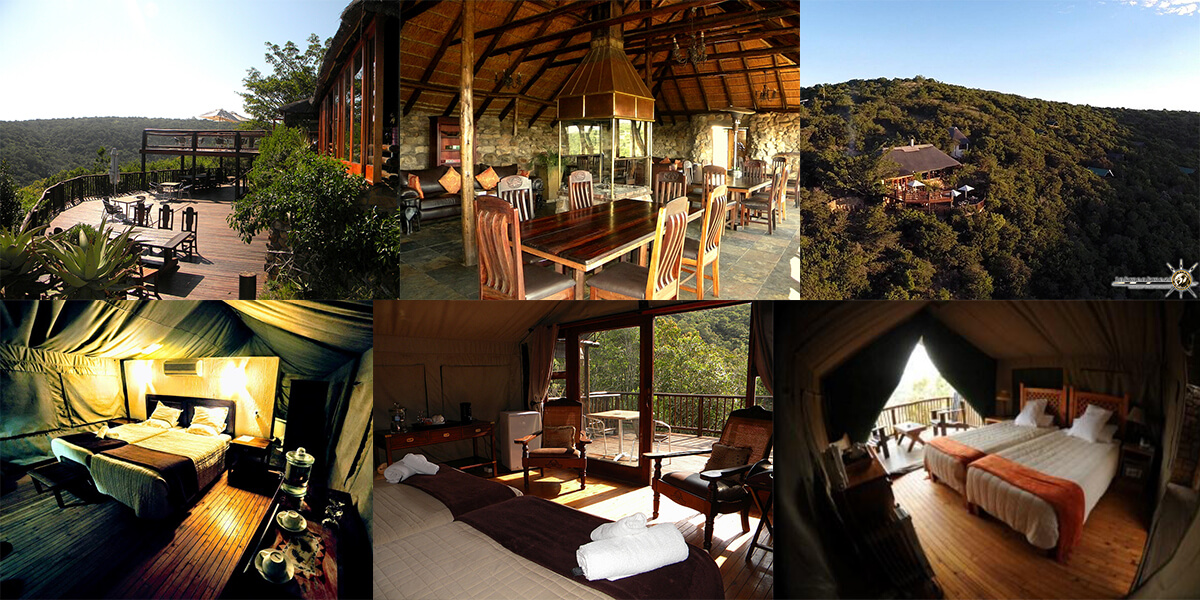 Inkwenkwezi Private Game Reserve Visit Eastern Cape Inkwenkwezi Private Game Reserve Visit Eastern Cape