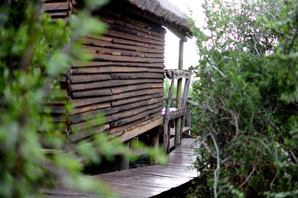 Addo Dung Beetle Guest Farm - Visit Eastern Cape