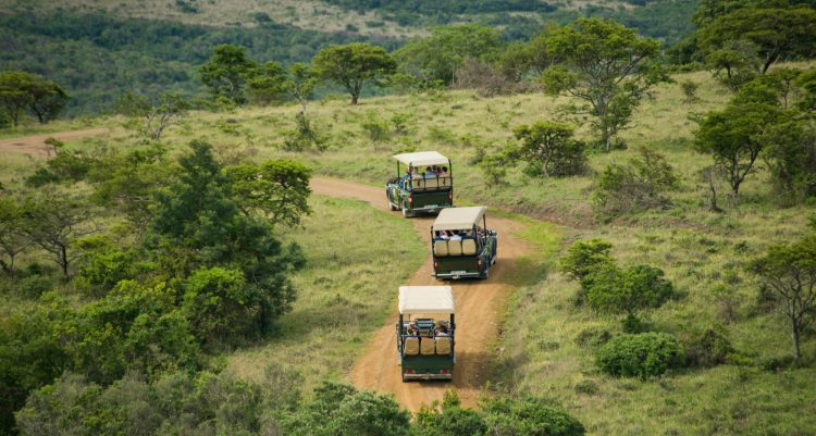 Mpongo Private Game Reserve