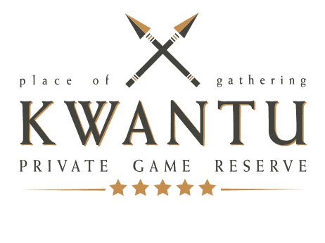 kwantu-logo